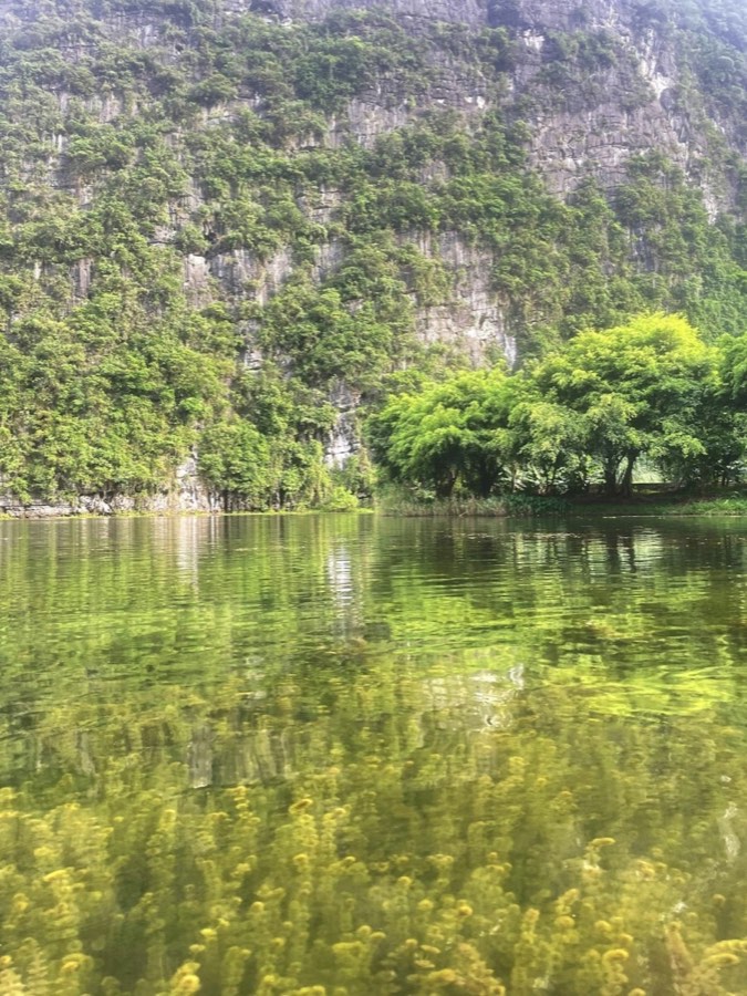 Emerald water surrounded by lush green forest, Cat Ba, Vietnam