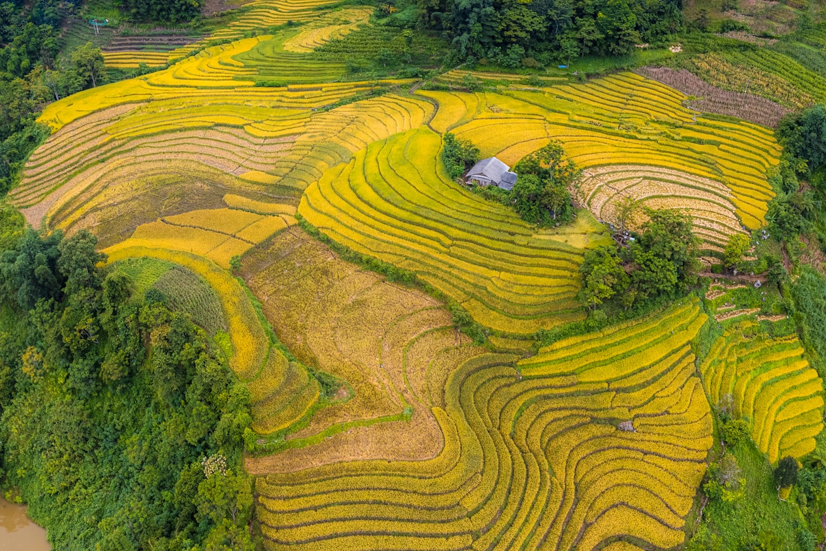 Rice terraces in Sapa with Hmong village in background, Vietnam