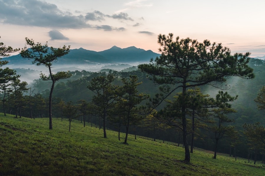 Green highland landscape with rolling fields and forested mountains surrounding Da Lat, Vietnam
