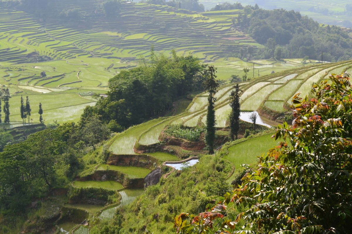 Da Lat highlands