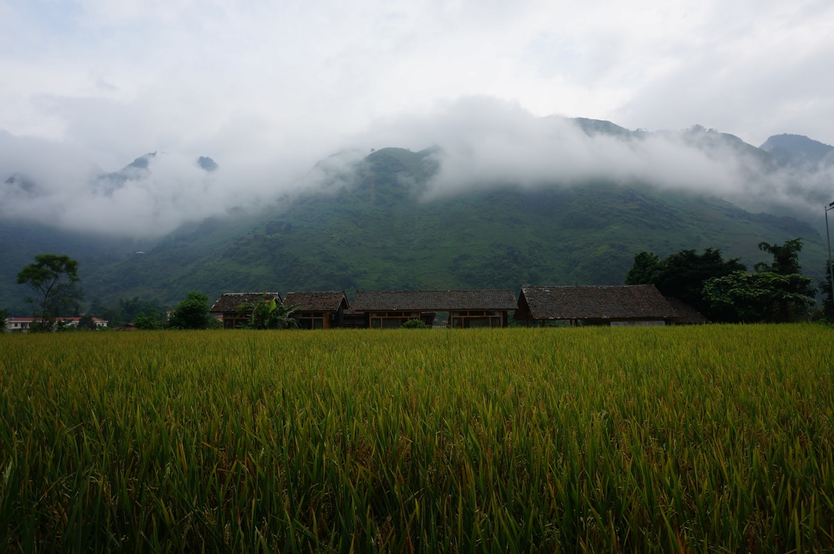 Rice terraces, village, and cloud-covered mountains, Ha Giang, Vietnam