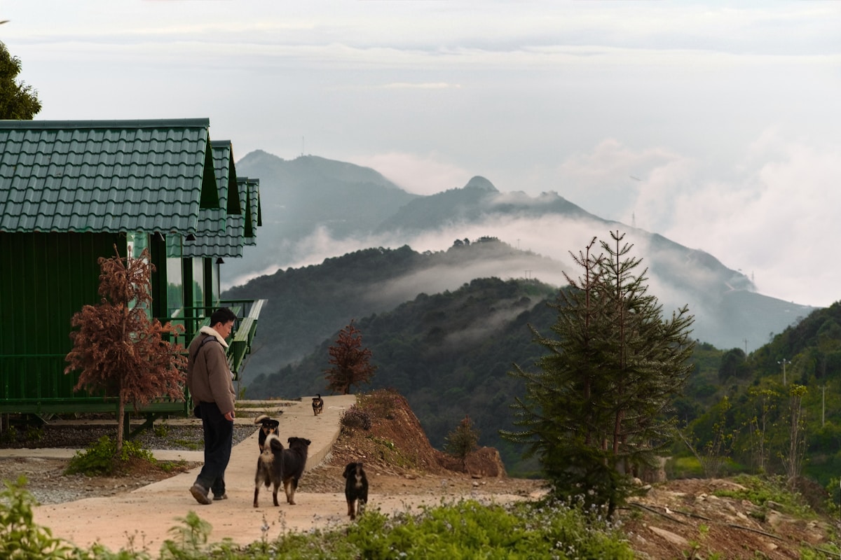 Mountain path overlooking misty valleys, Ha Giang, Vietnam
