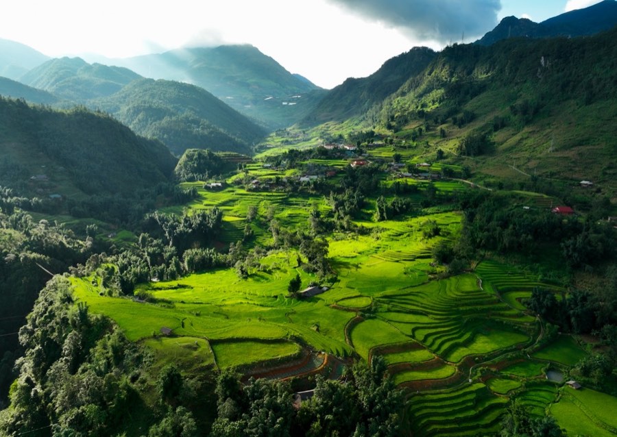 Aerial view of lush green valley in northern Vietnam