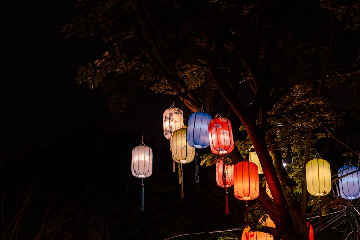 Colourful silk lanterns hanging from trees in Hoi An Ancient Town at night