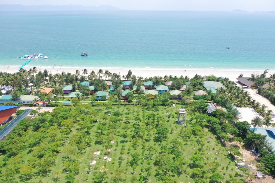 Aerial view of beach with palm trees, central Vietnam coast