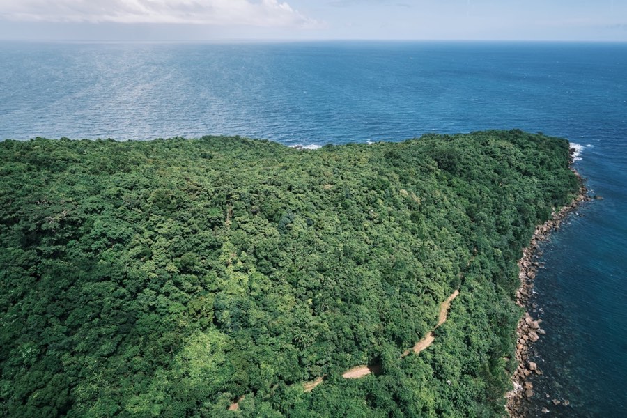 Tropical forest meets the ocean coastline, central Vietnam