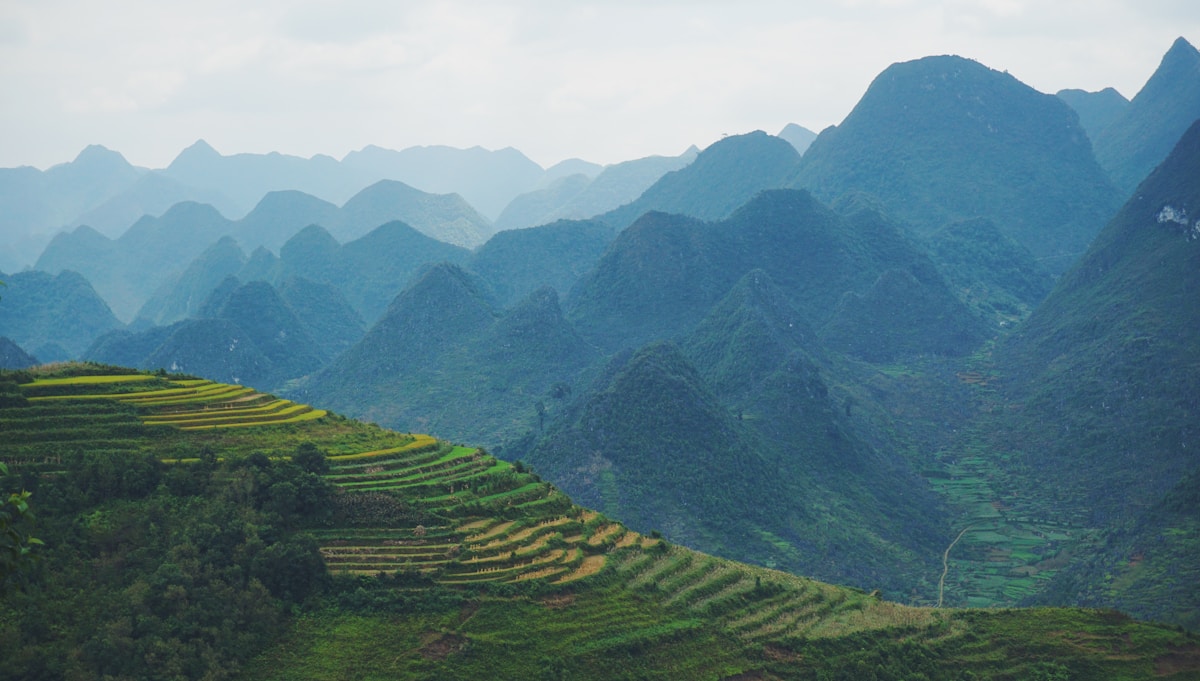 Ladder rice fields in the valley with karst mountains, Mai Chau, Vietnam