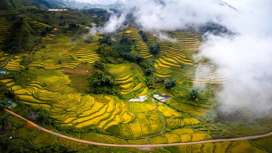 Terraced rice fields with mountains and clouds at sunset, Mu Cang Chai, Vietnam
