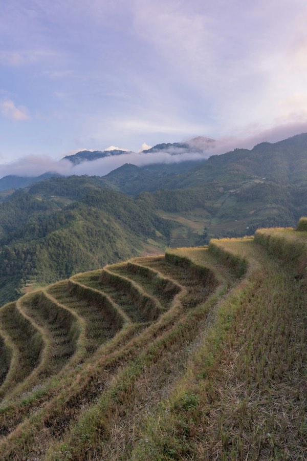 Rice terraces with clouds and mountains at dawn, Mu Cang Chai, Vietnam