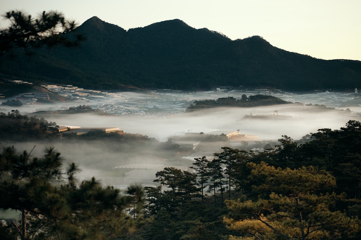 Misty valley with pine trees and mountains at dawn, Da Lat highlands, Vietnam