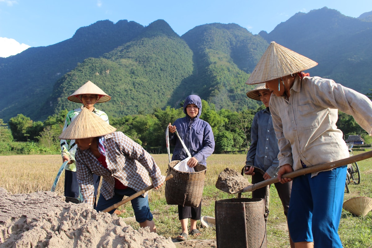 Terraced rice fields in Sapa, northern Vietnam — travel insurance guide