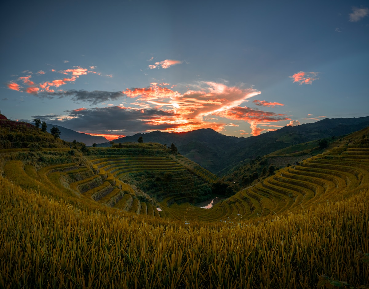 Terraced rice fields in the northern highlands of Vietnam — Vietnam in July