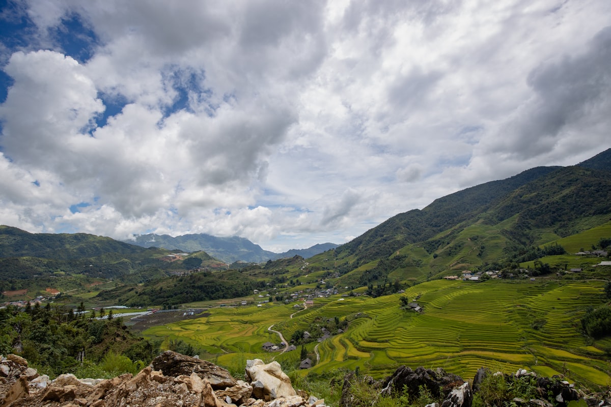 Trekker walking through golden Sapa rice terraces with Muong Hoa Valley and misty peaks behind