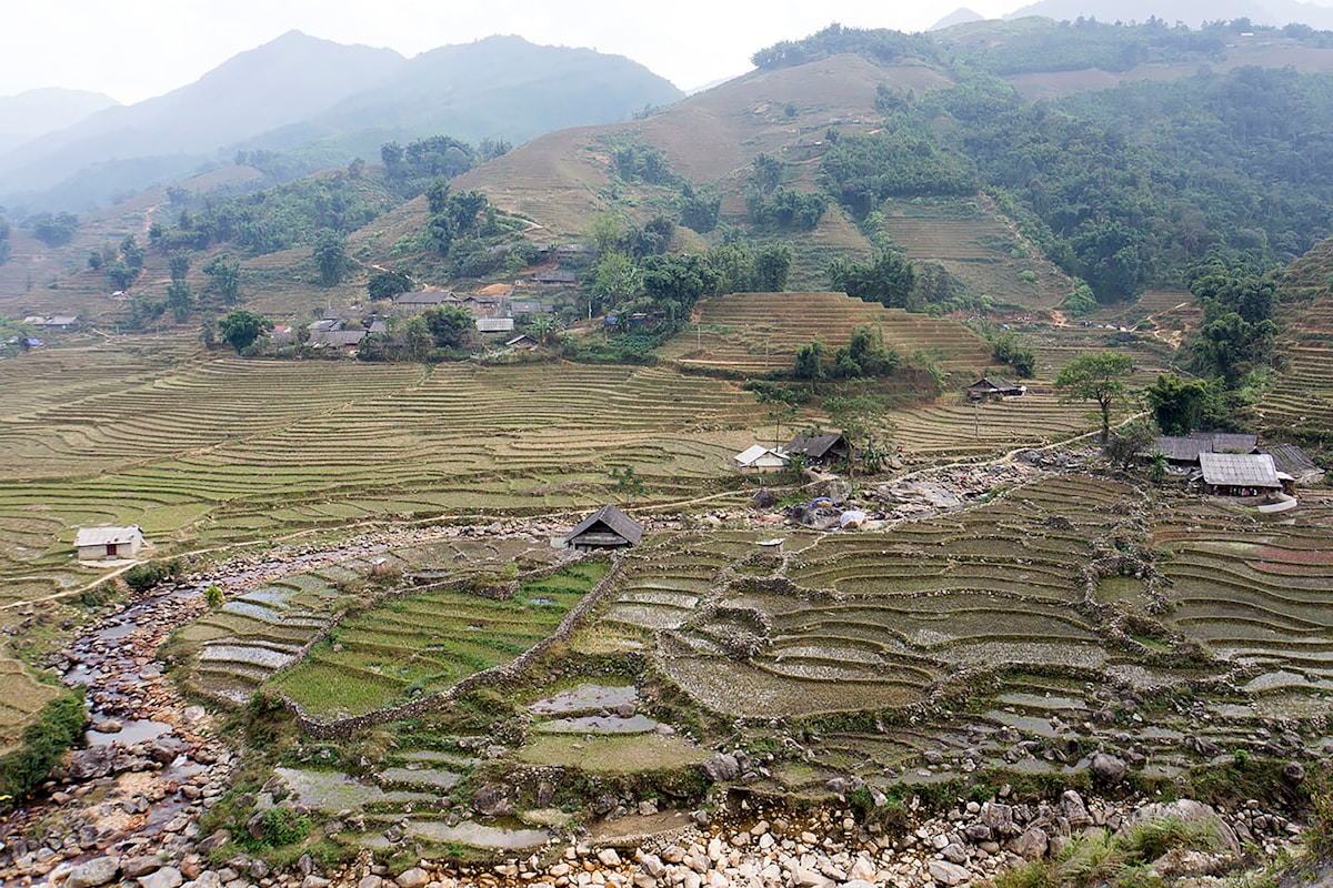 Trekkers walking through Sapa rice terraces with misty mountain backdrop in northern Vietnam